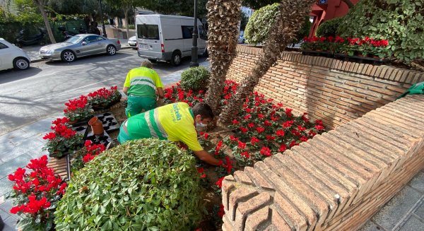 Marbella finaliza el Plan de Embellecimiento de Navidad con cerca de 60.000 plantaciones