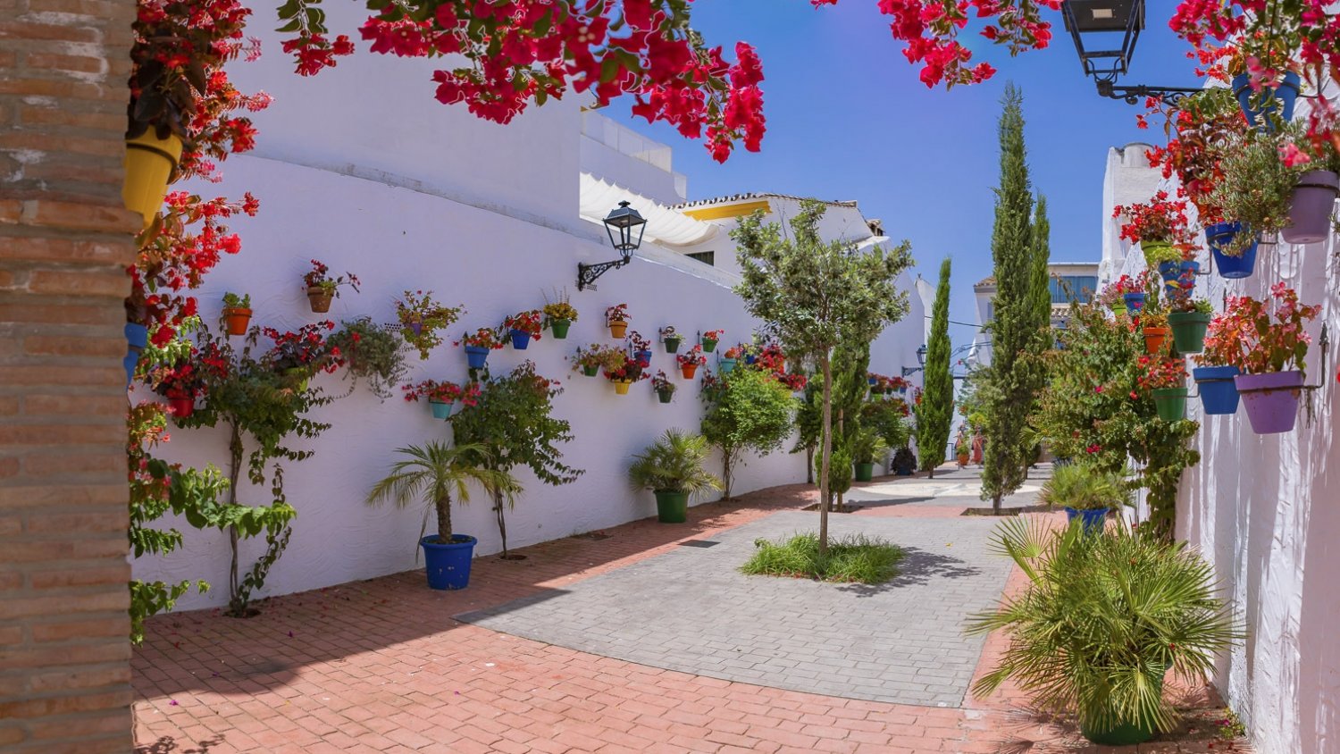 El Ayuntamiento de Estepona aprueba un Plan de Acción con medidas locales contra el cambio climático