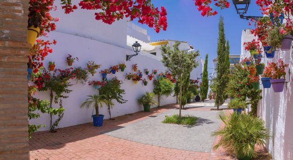 El Ayuntamiento de Estepona aprueba un Plan de Acción con medidas locales contra el cambio climático