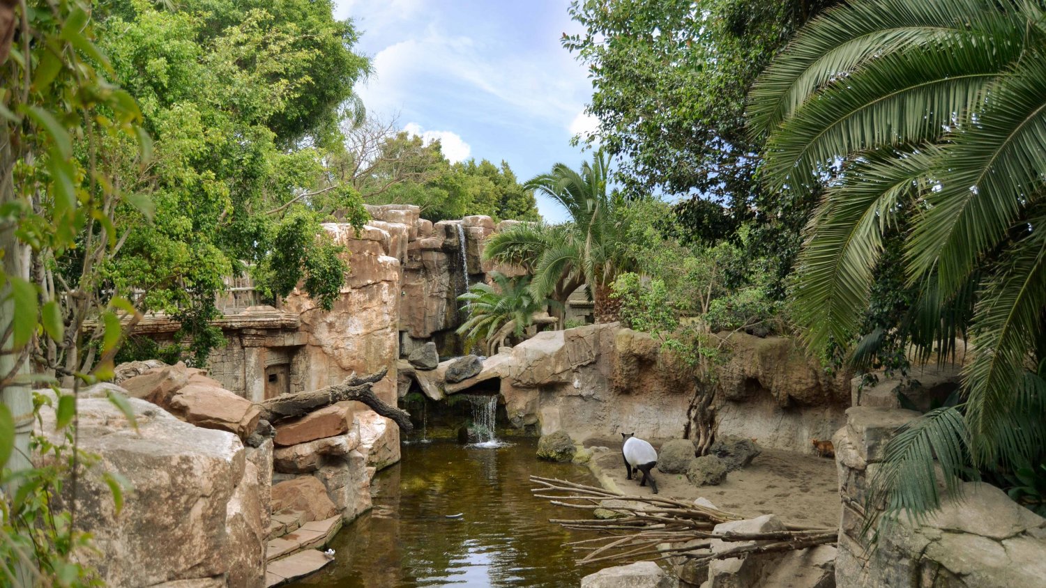 Bioparc Fuengirola celebra 20 años regalando su pase anual a todos los niños