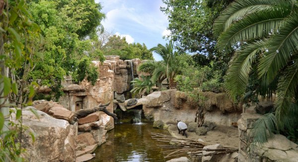 Bioparc Fuengirola celebra 20 años regalando su pase anual a todos los niños