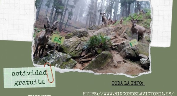 Rincón de la Victoria organiza una actividad guiada y gratuita para conocer la Ecoreserva de Ojén