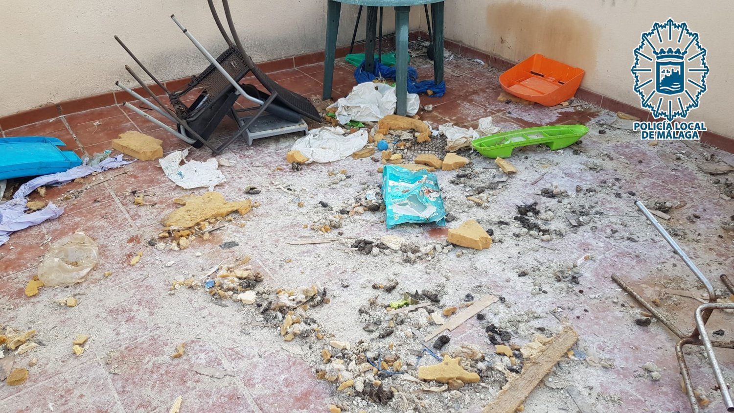 El Grupona de la Policía Local incauta un perro en situación de abandono e insalubridad