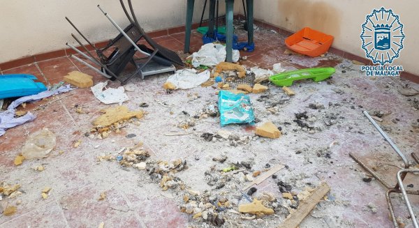 El Grupona de la Policía Local incauta un perro en situación de abandono e insalubridad