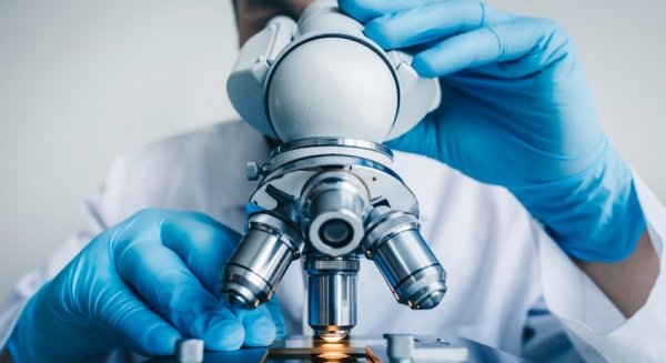 El Gobierno concede 51.000 euros a tres proyectos de divulgación y comunicación de la ciencia en Málaga