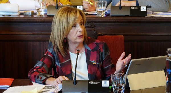 PSOE pide al Ayuntamiento la constitución del Consejo Sectorial de Desarrollo Sostenible