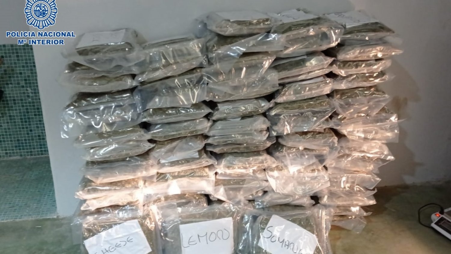 Detenida una organización criminal que importaba marihuana en dobles fondos de refrigeradoras