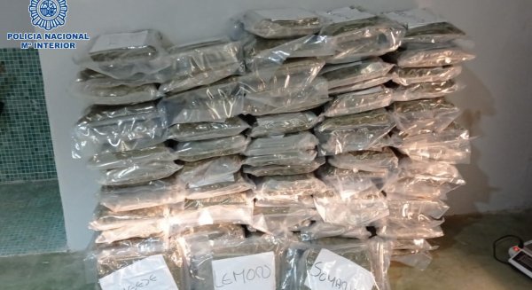 Detenida una organización criminal que importaba marihuana en dobles fondos de refrigeradoras