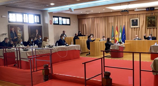 El pleno de Vélez muestra apoyo institucional al manifiesto del 25N