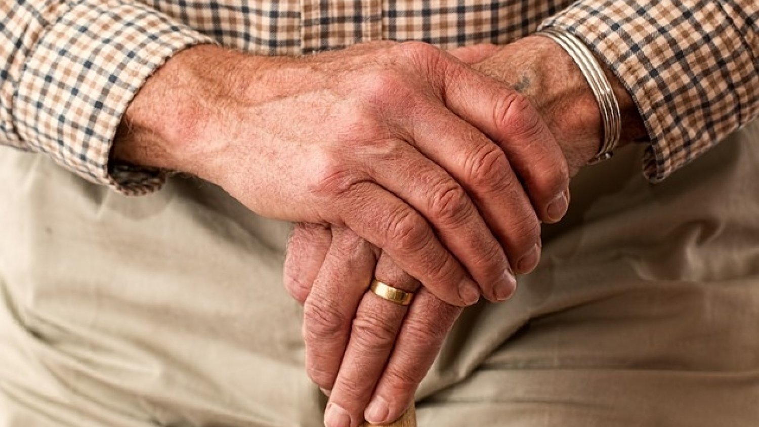 Las pensiones contributivas se elevan en Málaga a 275.554 en el mes de noviembre