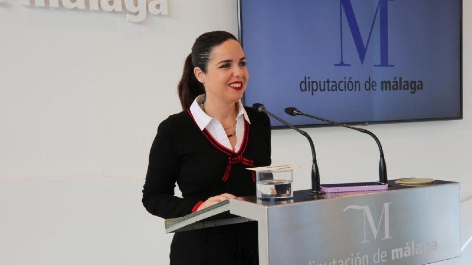 Diputación de Málaga atiende a 614 mujeres víctimas de violencia de género