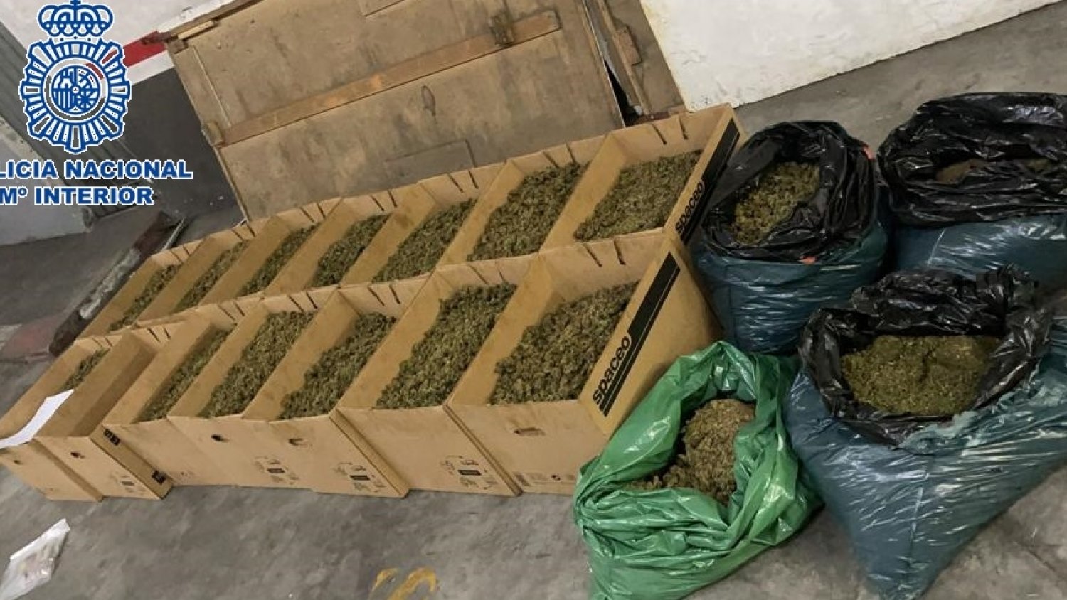 Desmantelada una organización criminal que habilitaba villas de lujo para cultivos hidropónicos