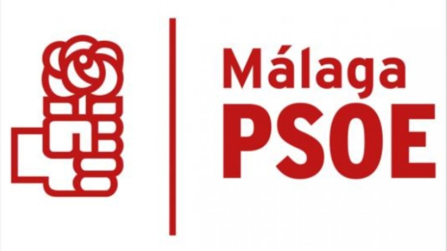 Un total de 6.250 militantes socialistas eligen al nuevo secretario general del PSOE de Málaga