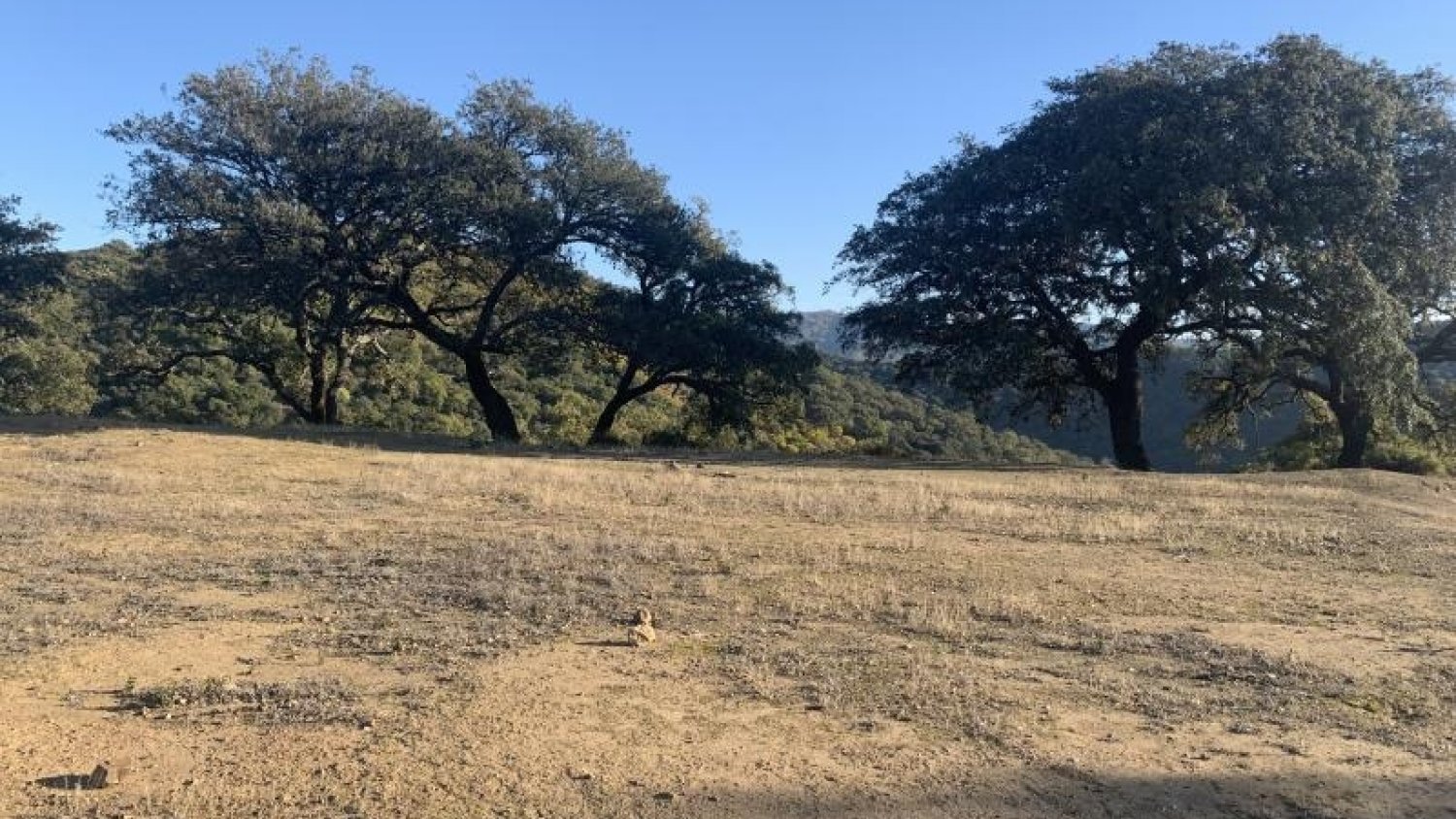 Diputación impulsa en el Valle del Genal la construcción de una balsa contra incendios
