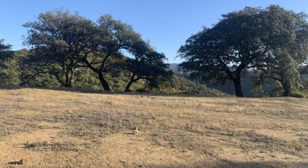 Diputación impulsa en el Valle del Genal la construcción de una balsa contra incendios