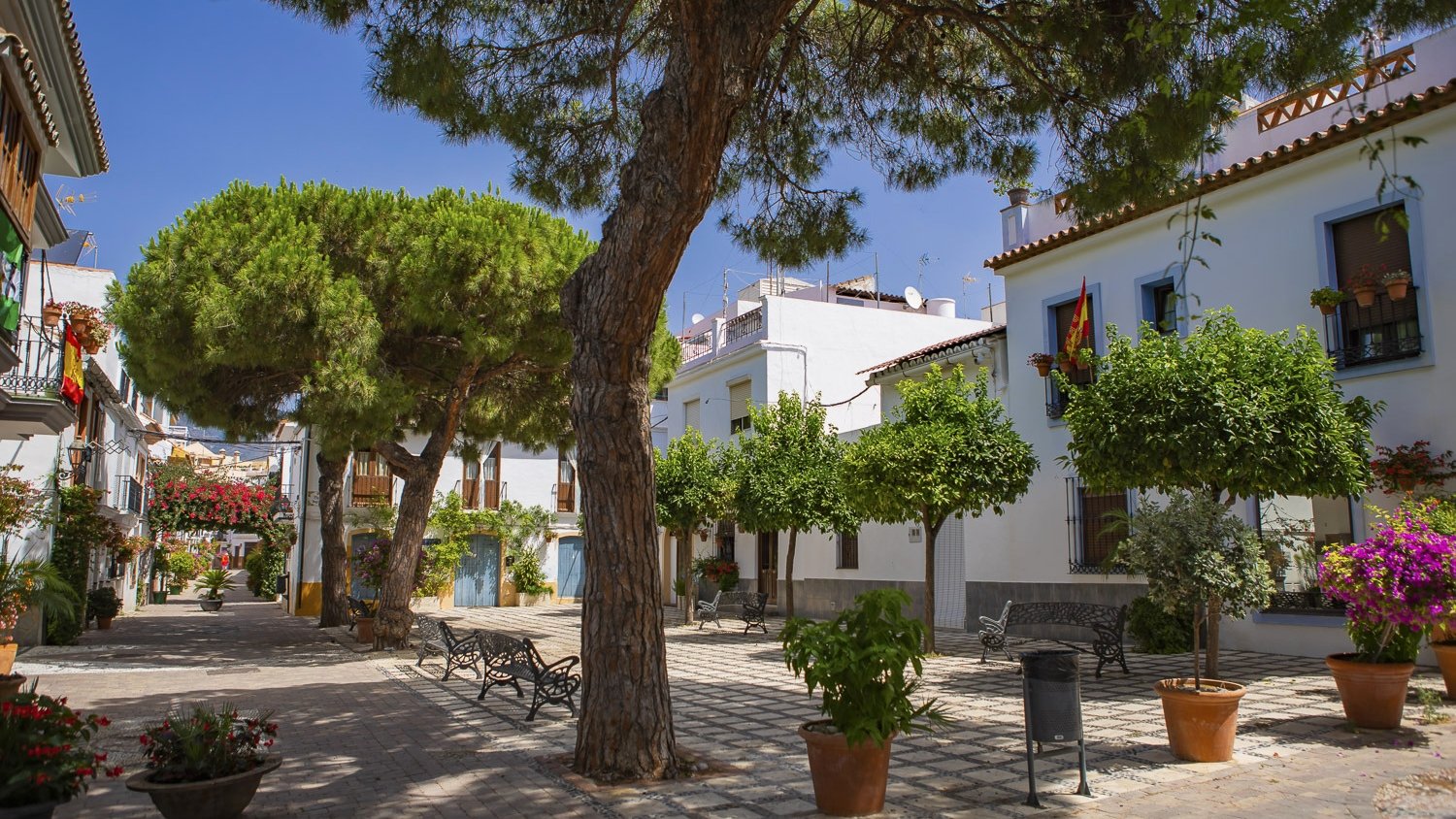 Estepona apuesta por una ciudad sostenible con la plantación de más de 250 nuevos