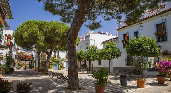 Estepona apuesta por una ciudad sostenible con la plantación de más de 250 nuevos