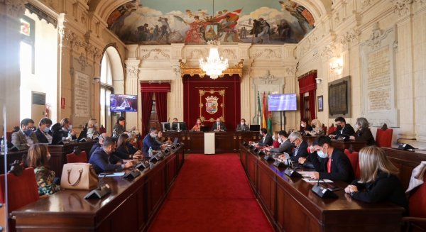 Málaga aprueba 15.000 euros para la constitución de la Fundación Instituto Ricardo Valle de Innovación
