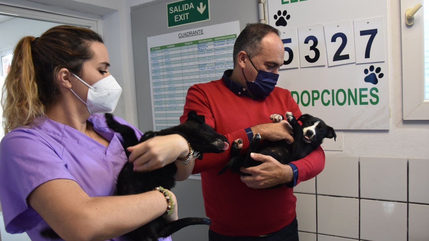 Fuengirola fomenta la adopción de mascotas en el Parque Zoosanitario Municipal