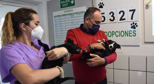 Fuengirola fomenta la adopción de mascotas en el Parque Zoosanitario Municipal