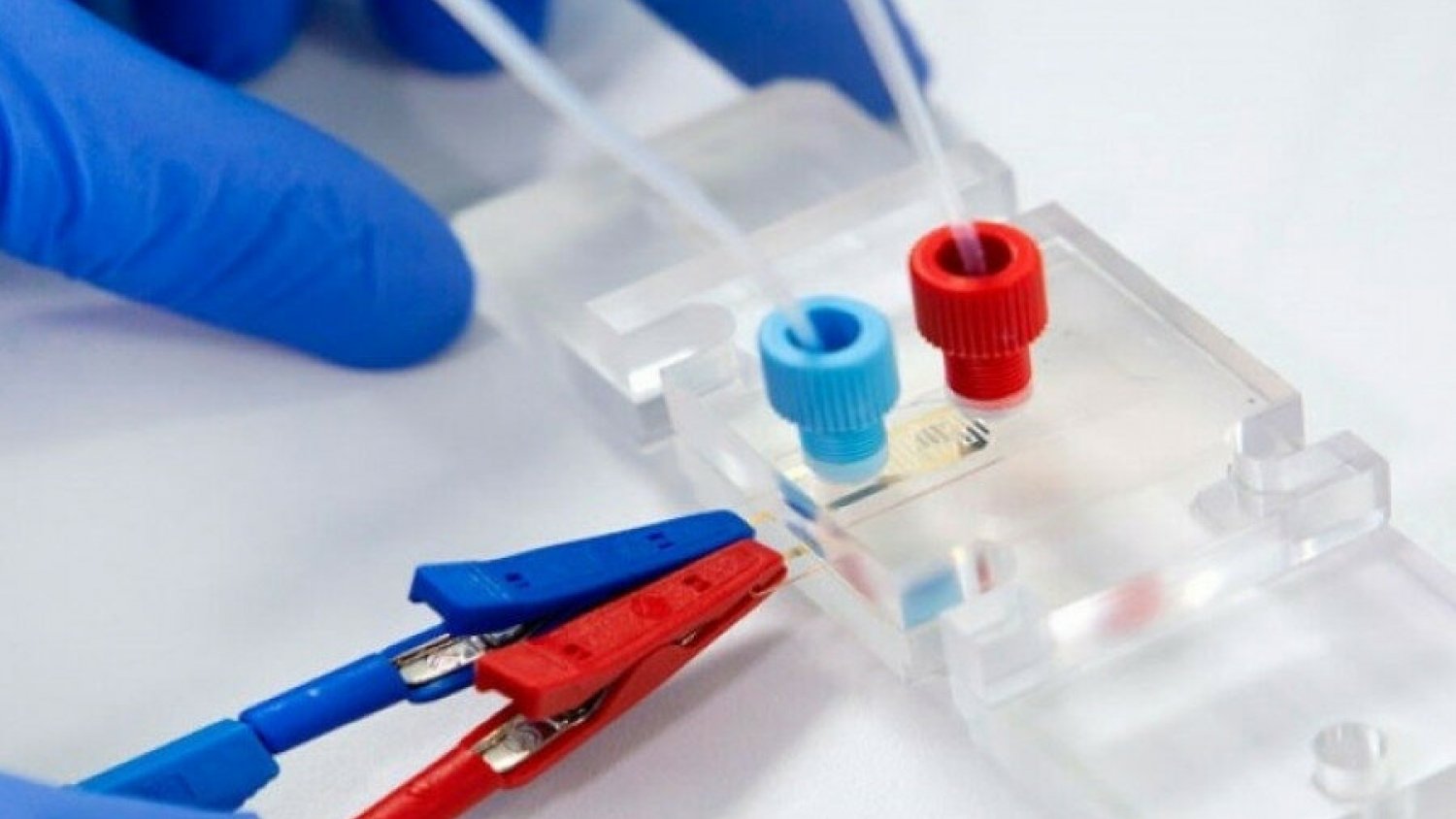 Málaga registra los 2.000  fallecidos por covid-19 desde que comenzó la pandemia