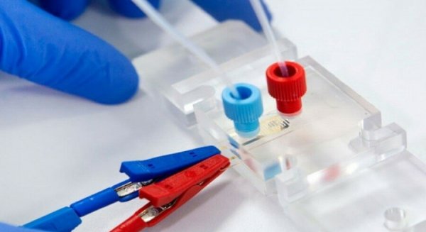 Málaga registra los 2.000  fallecidos por covid-19 desde que comenzó la pandemia