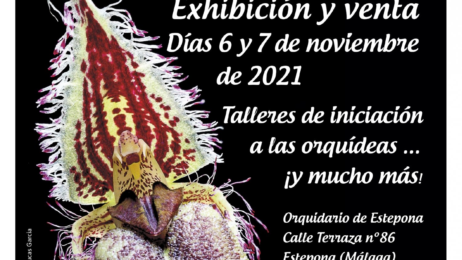 El Parque Botánico Orquidario de Estepona acoge la VI Feria de Orquídeas