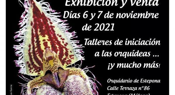 El Parque Botánico Orquidario de Estepona acoge la VI Feria de Orquídeas