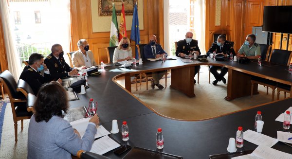 La Junta Local de Seguridad aborda la implantación del sistema de videovigilancia en San Pedro Alcántara