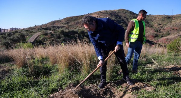Comienza la Campaña de Reforestación 2023 que superará las 6.000 unidades plantadas