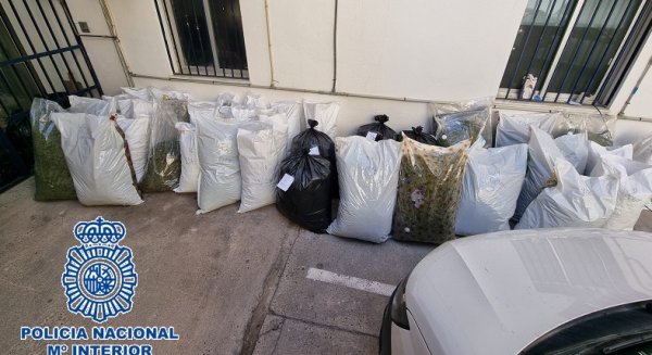 La Policía Nacional detiene a 16 personas por comerciar con marihuana en Málaga