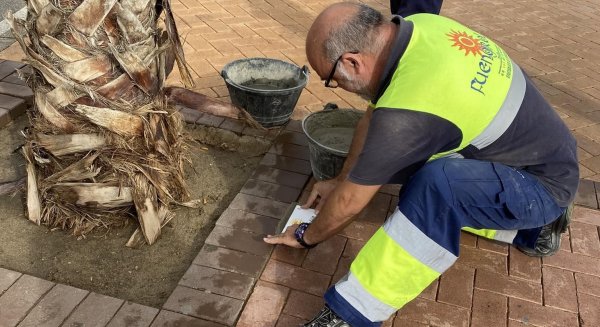 Más de un millar de niños de Fuengirola tienen ya placas con su nombre en árboles de la ciudad