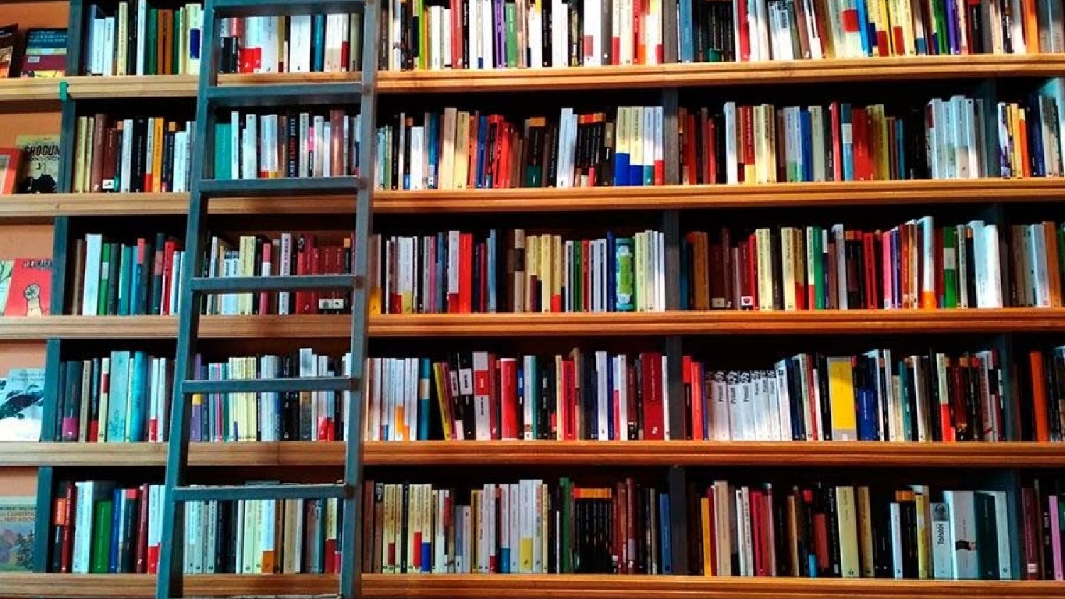 Cultura celebra el Día de las Bibliotecas con actividades culturales en las ocho provincias