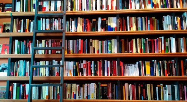 Cultura celebra el Día de las Bibliotecas con actividades culturales en las ocho provincias