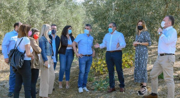 El PSOE pide a la Diputación de Málaga apoyo jurídico contra los megaparques fotovoltaicos