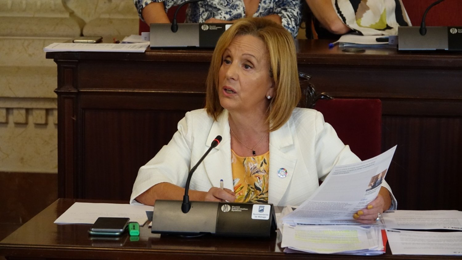 El PSOE lamenta que PP y Cs se opongan al plan de mantenimiento y conservación de arroyos de Málaga