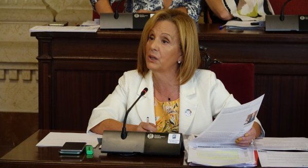 El PSOE lamenta que PP y Cs se opongan al plan de mantenimiento y conservación de arroyos de Málaga