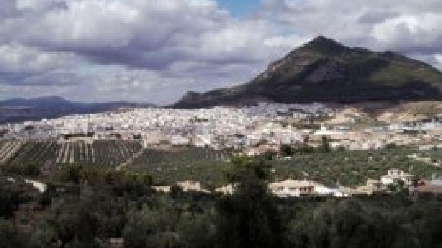 Diputación reparte 5.000 litros de agua a los afectados por el incendio en Sierra Bermeja