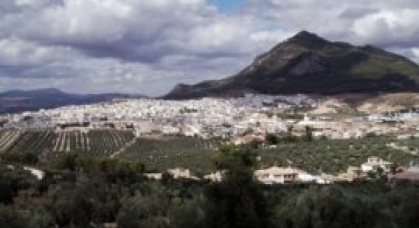 Diputación reparte 5.000 litros de agua a los afectados por el incendio en Sierra Bermeja