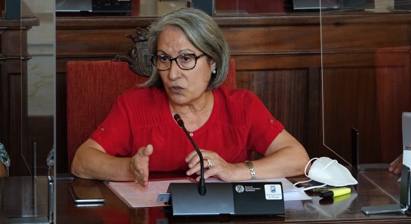 PSOE critica que PP y Ciudadanos den la espalda a los comercios afectados por obras municipales