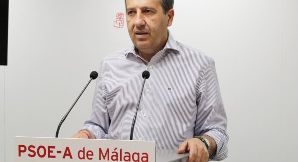 PSOE valora la rapidez del Consejo de Ministros para declarar Sierra Bermeja como zona catastrófica