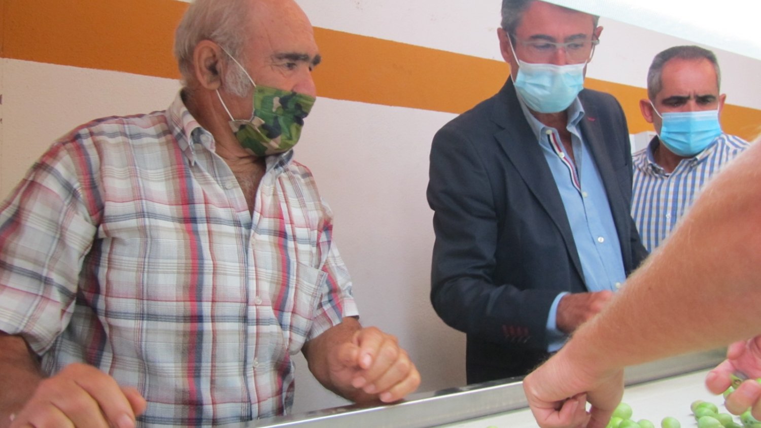 El delegado de agricultura destaca el valor económico y social de la aceituna aloreña