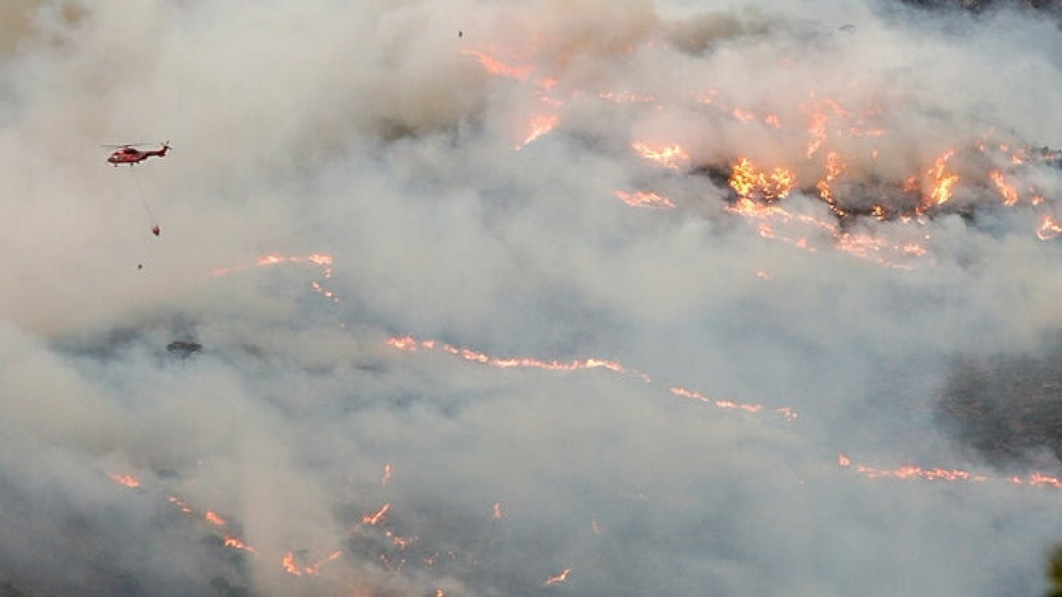 ASAJA Málaga ayuda a los afectados del incendio de Sierra Bermeja