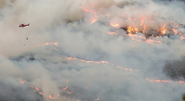 ASAJA Málaga ayuda a los afectados del incendio de Sierra Bermeja