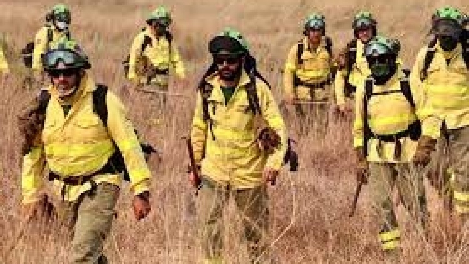 Los bomberos dan por controlado el incendio en Sierra Bermeja