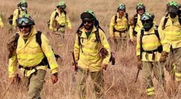 Los bomberos dan por controlado el incendio en Sierra Bermeja