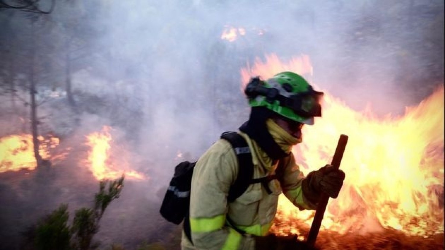 Casi mil efectivos y medio centenar de medios aéreos lucha contra el fuego en Sierra Bermeja