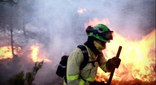 Casi mil efectivos y medio centenar de medios aéreos lucha contra el fuego en Sierra Bermeja