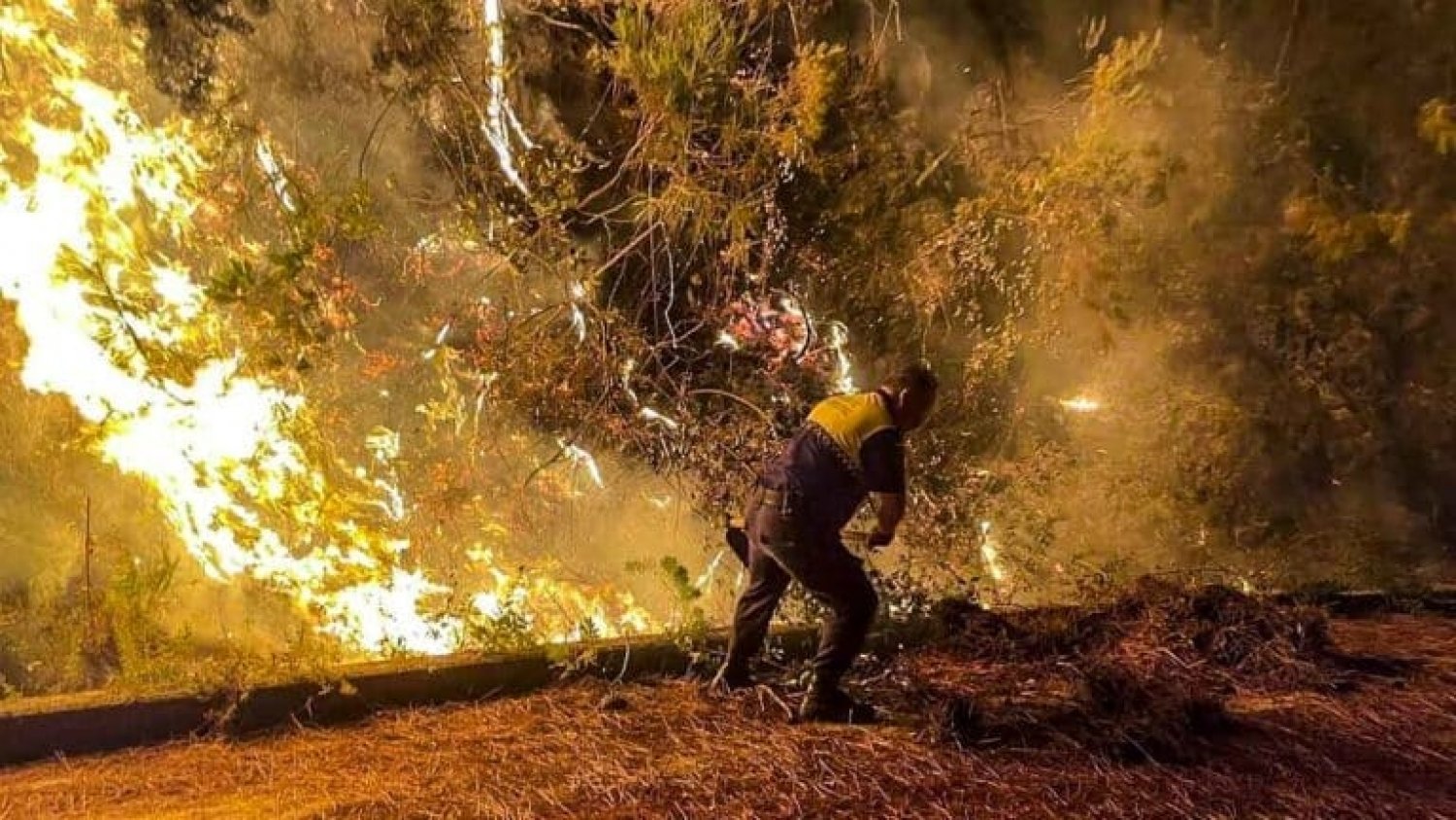 El incendio de Sierra Bermeja continúa con focos activos después de cinco noches
