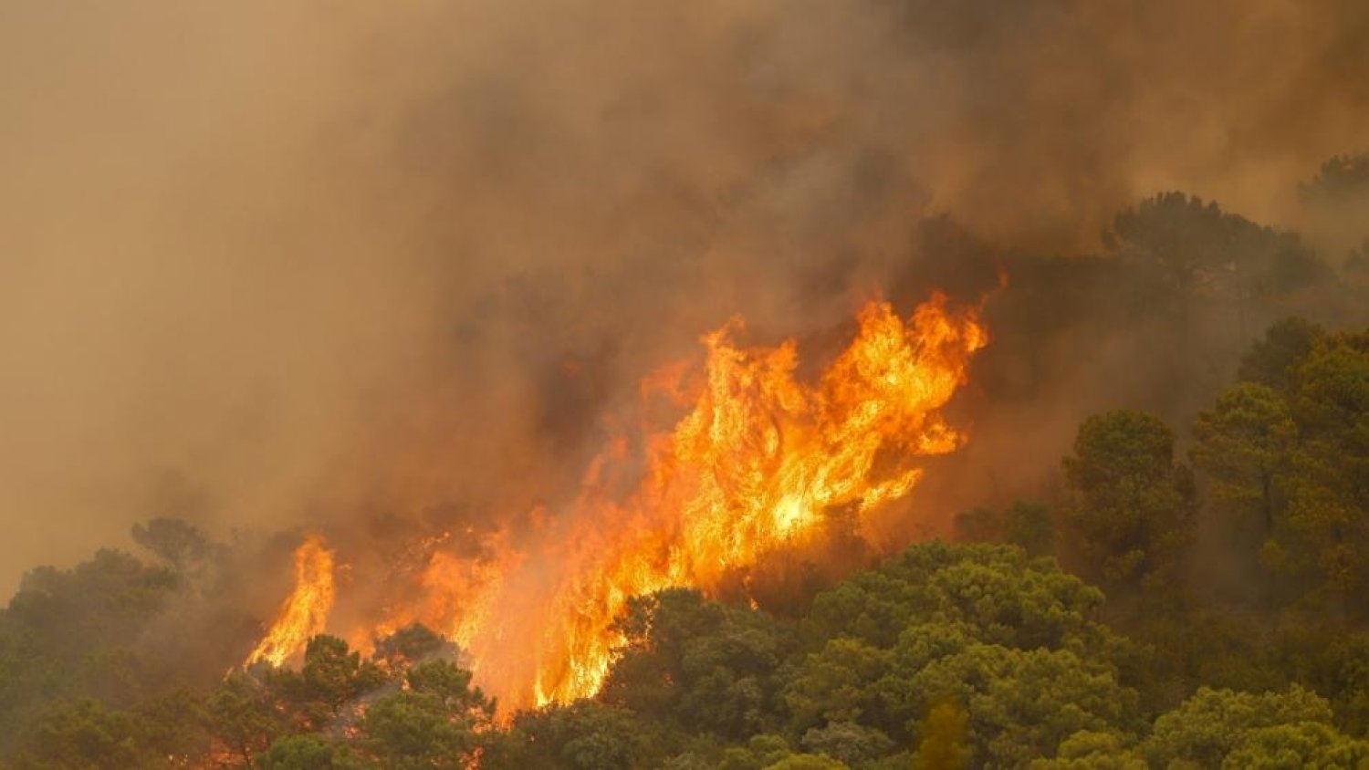 Se incorporan los primeros medios aéreos al incendio de Sierra Bermeja